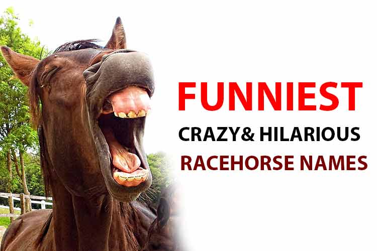 The most hilarious and funniest racehorse names of all times