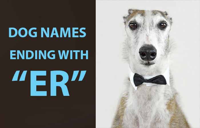 Dog Names that End with ER