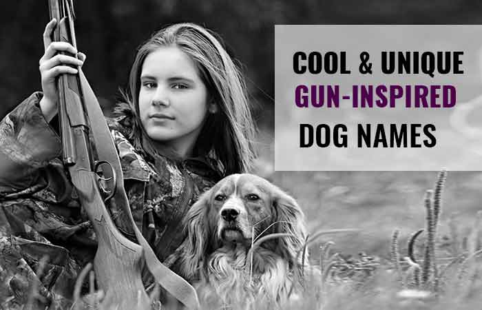 Best Gun Names for Dogs, male and female