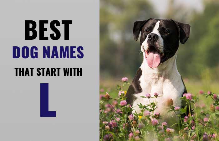 L Dog Names for female and males