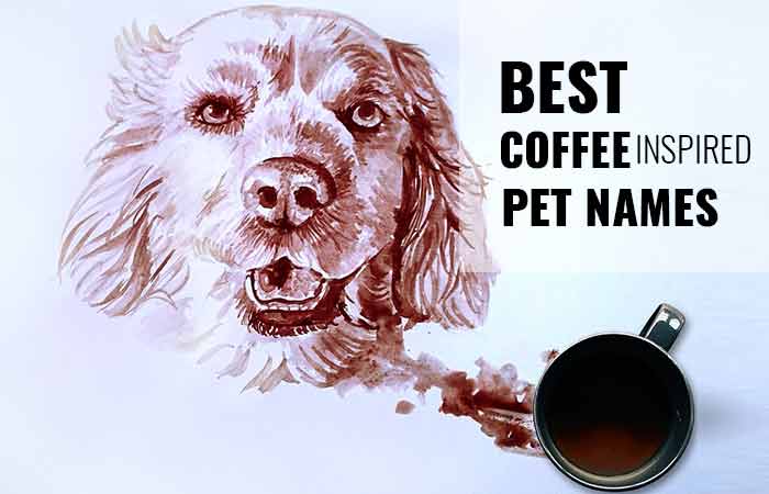 Coffee names for dogs and cats