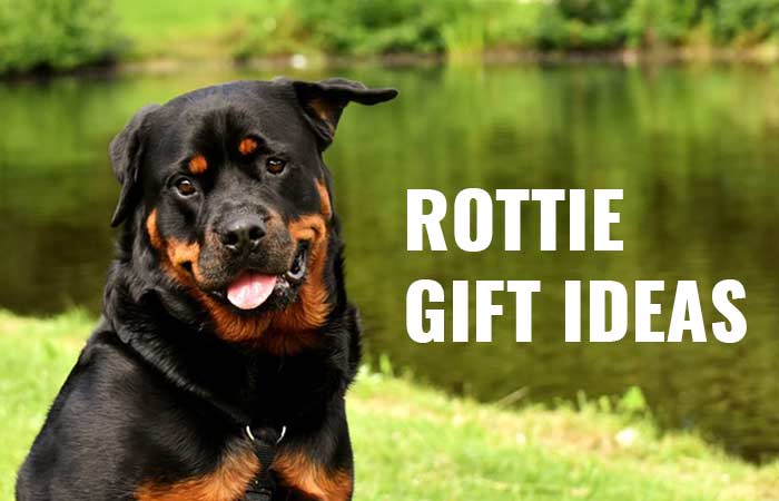 Gift Ideas for Rottweiler lovers and owners